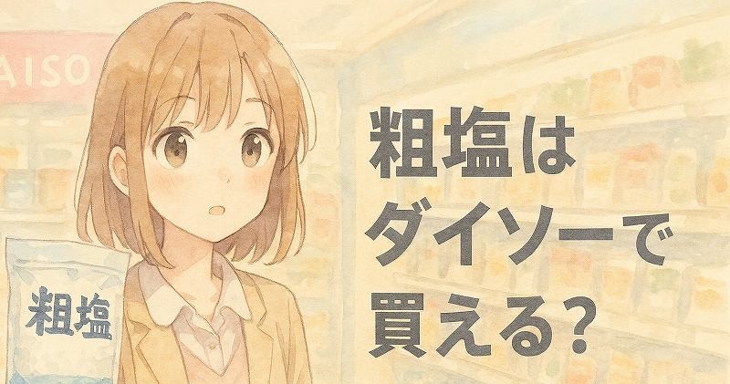 粗塩ダイソー
